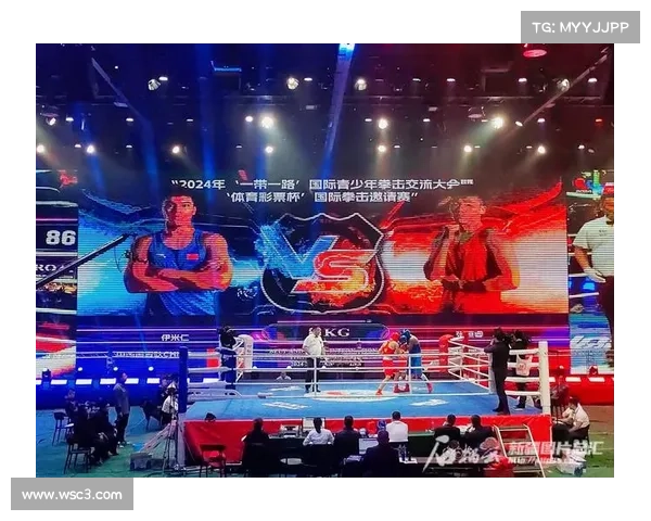 拳击赛事收入,国内拳击手收入