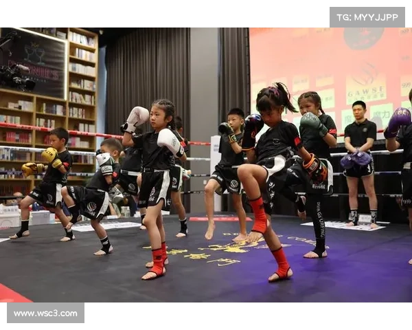 搏击比赛分几种